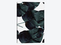Canvas Wall Decor Prints Q963