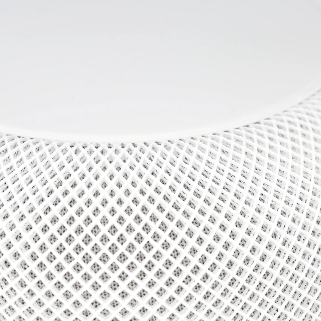 White Speaker O838