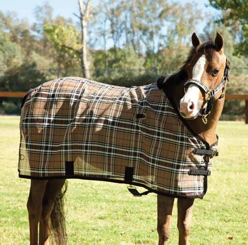 Pony Fly Sheet O667779