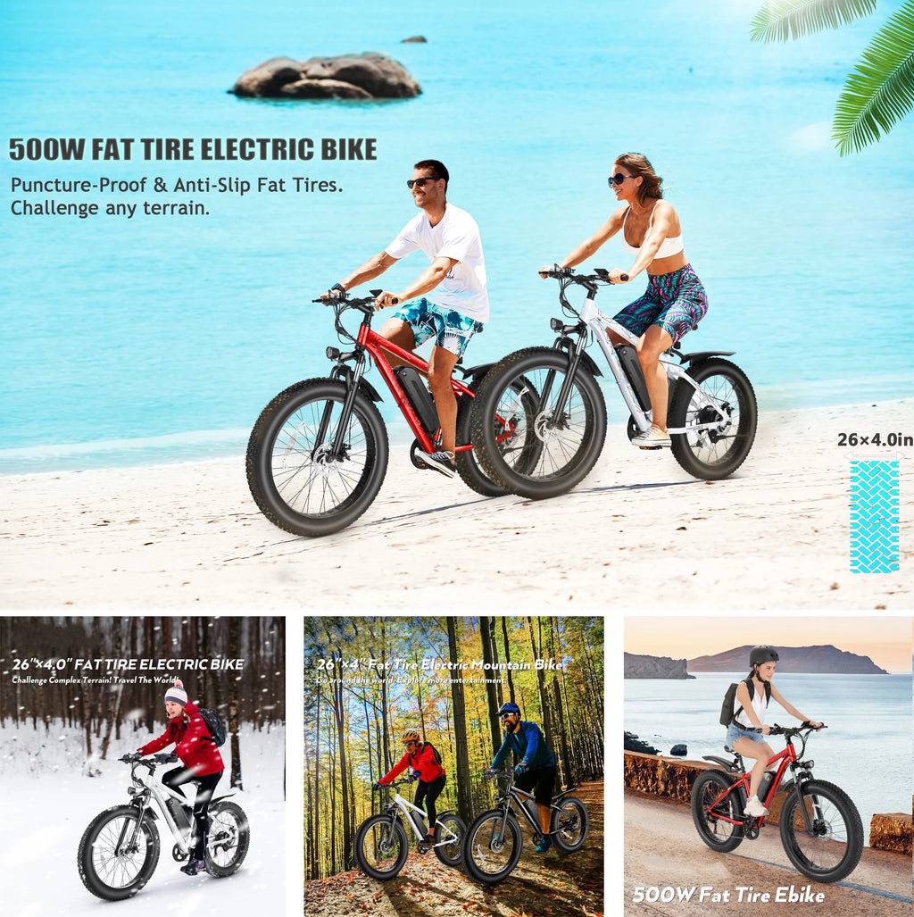 Electric Mountain Bicycle with 500W Motor and 48V Battery S538