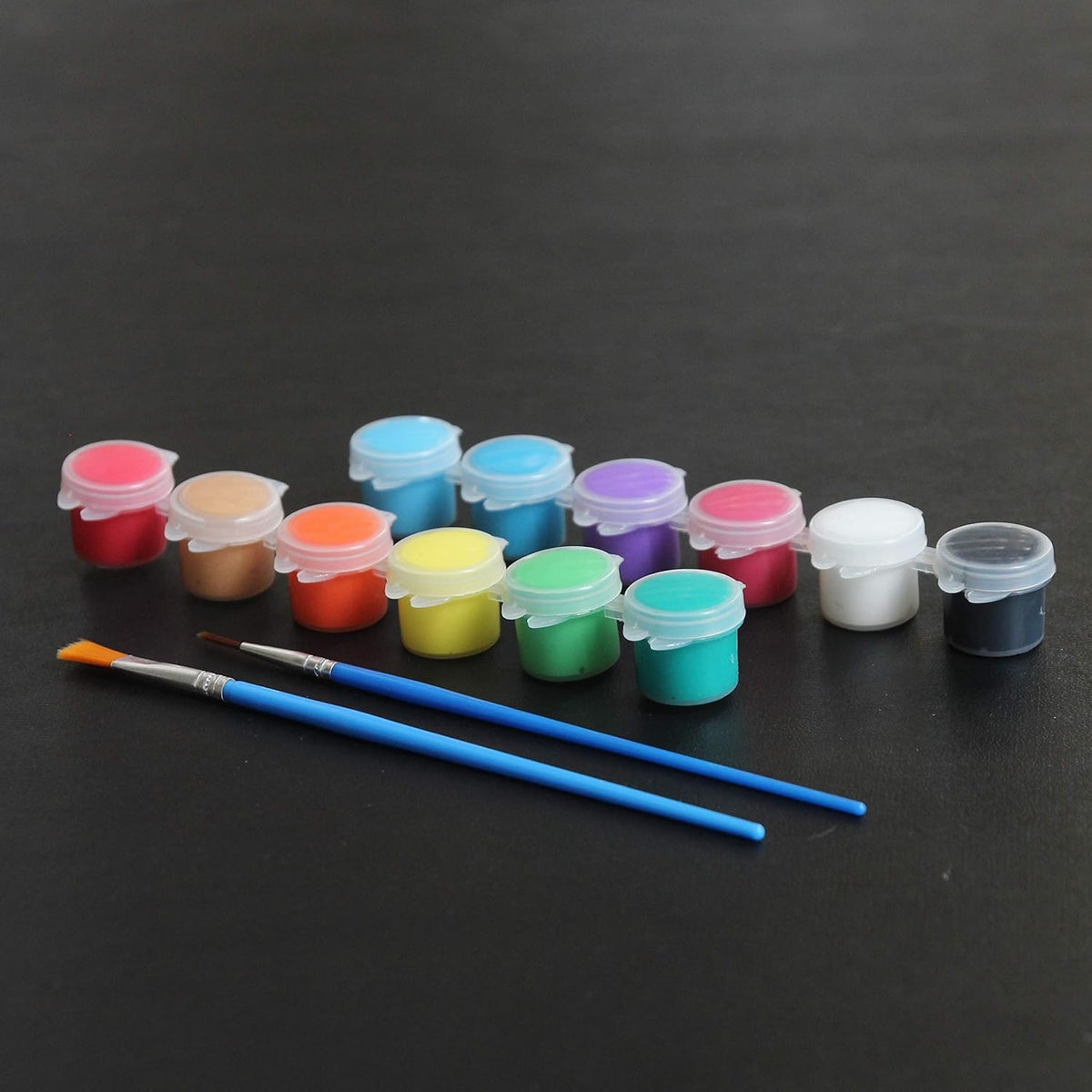 24 Pack Acrylic Paint Sets 12 Colors with 2 Brushes I601