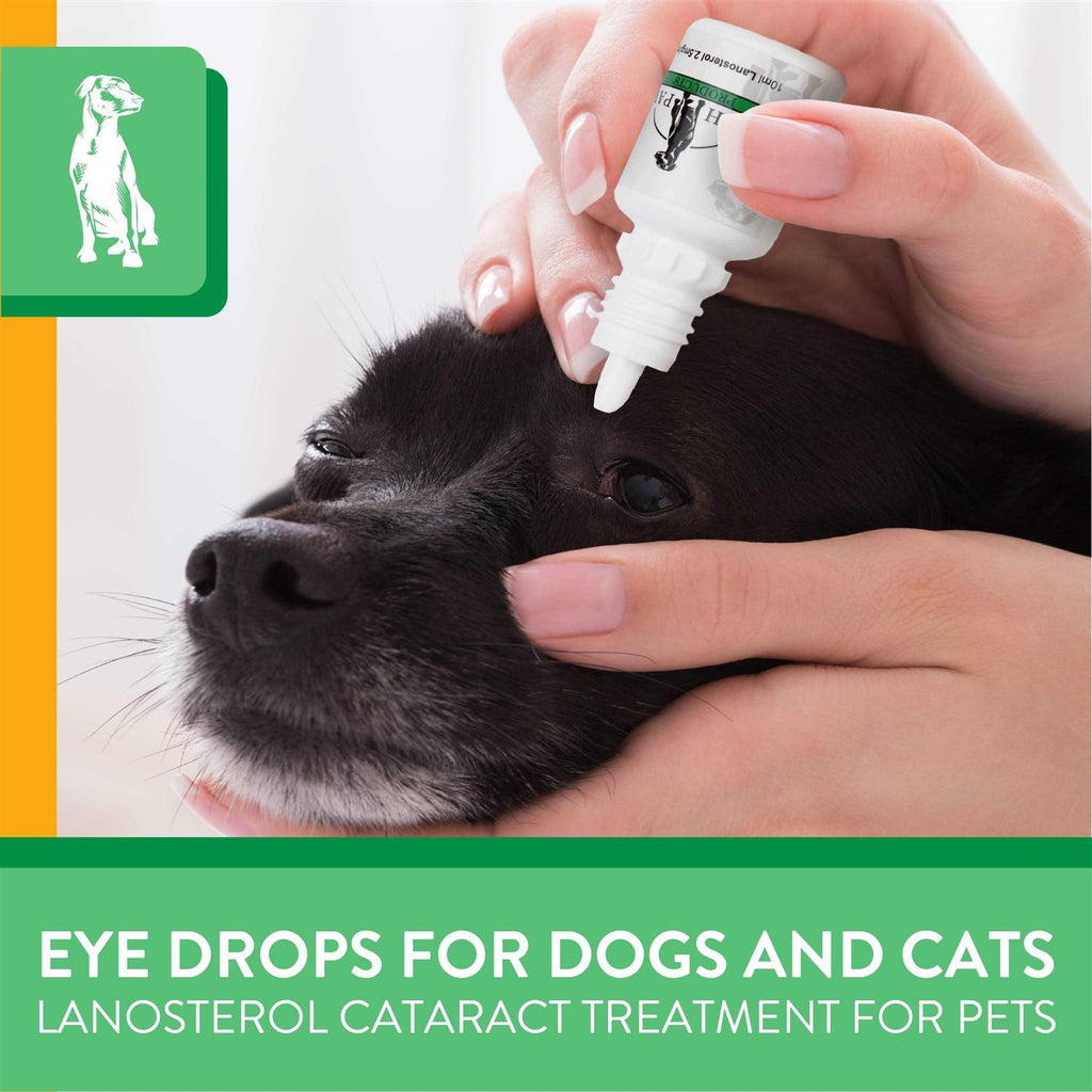 Lanosterol Solution + NAC Pet Supplies T698682