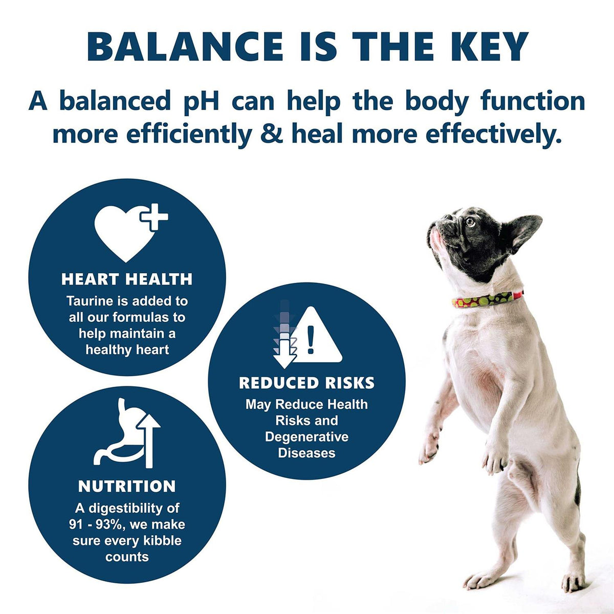 Holistic Dry Dog Food G623453