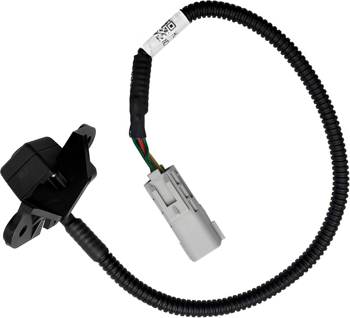 Backup Camera O961