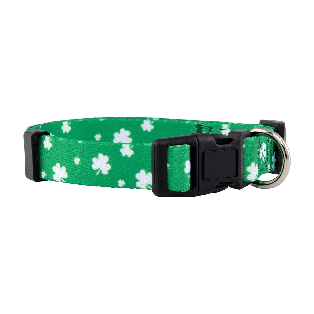St Patricks Day Dog Collars M775584