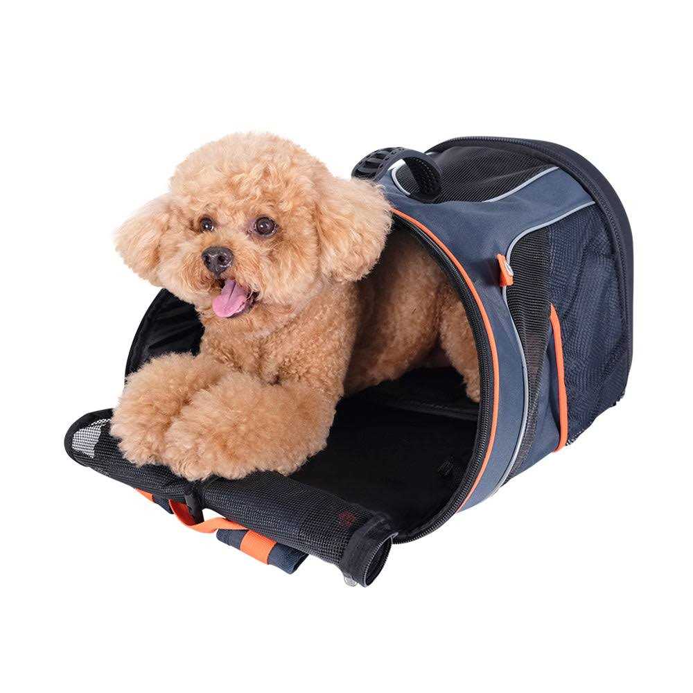 Backpack Carrier S574