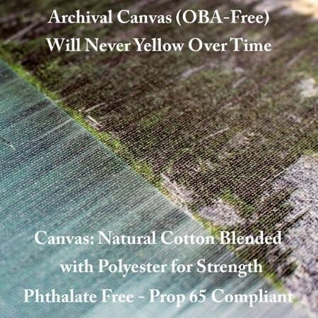 Zebra Canvas Art V34263