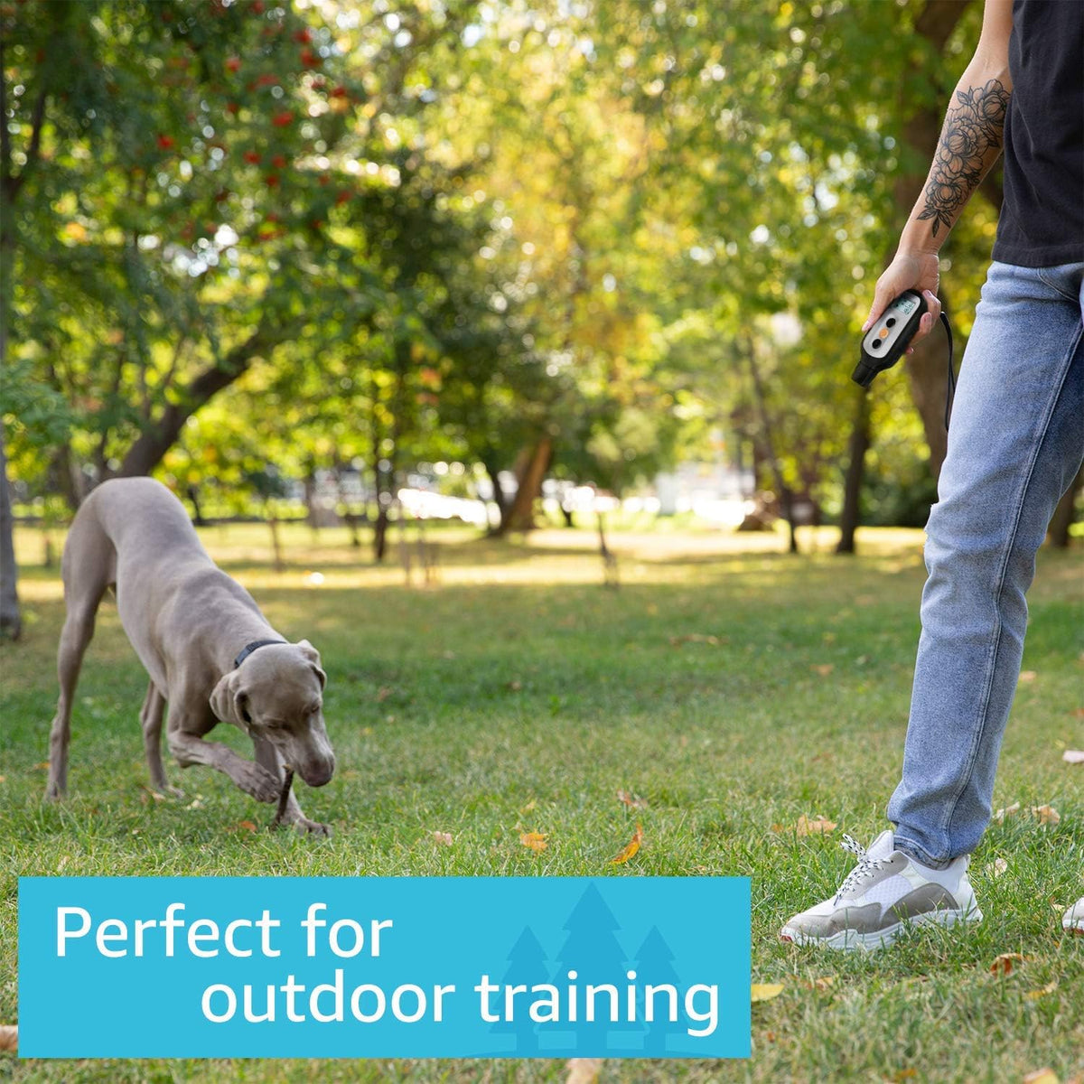 Waterproof Dog Training Shock Collar with Remote R369