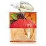 Sweet Cinnamon Pumpkin Home Fragrance Refills 2-Pack S309