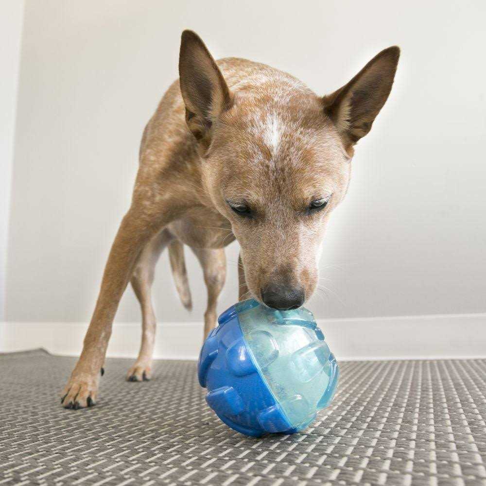 Ball Dog Toy X5208