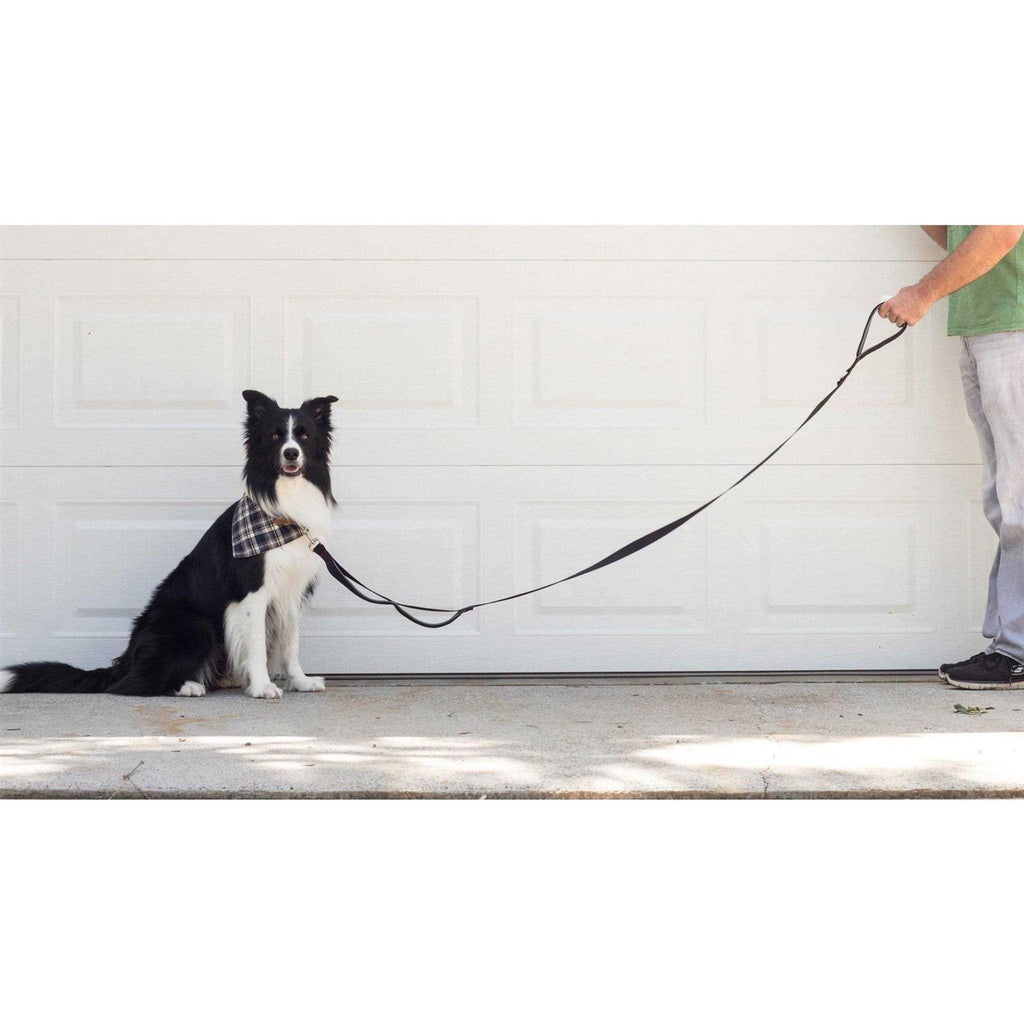 Heavy Duty Dog Leash Double Handle Training Lead D923558
