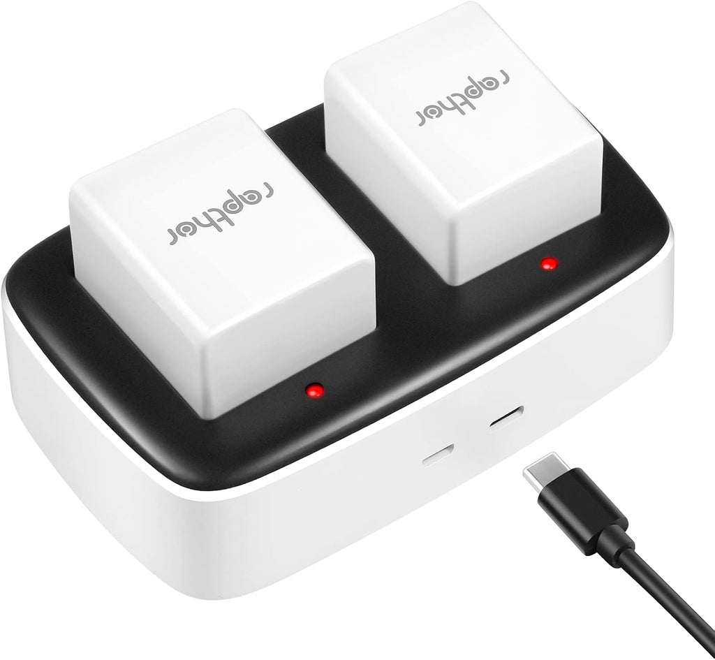 2560mAh Rechargeable Replacement Battery with Charger Station (2 Batteries+1 Charger) S181