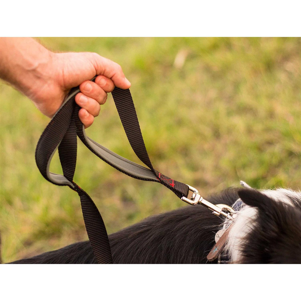 Heavy Duty Dog Leash Double Handle Training Lead D923558