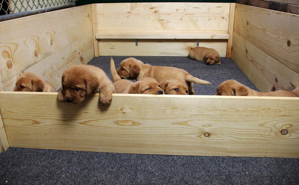 Washable Reusable Whelping Box Liner Mat E748