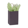 Plum Paper Shopping Bags Case of 100 M40007