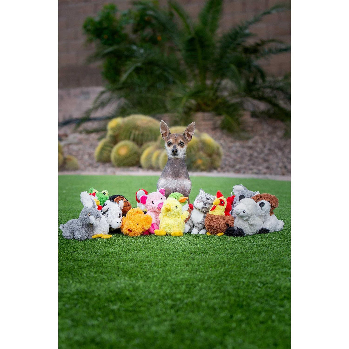 Chicken Dog Toy B9339