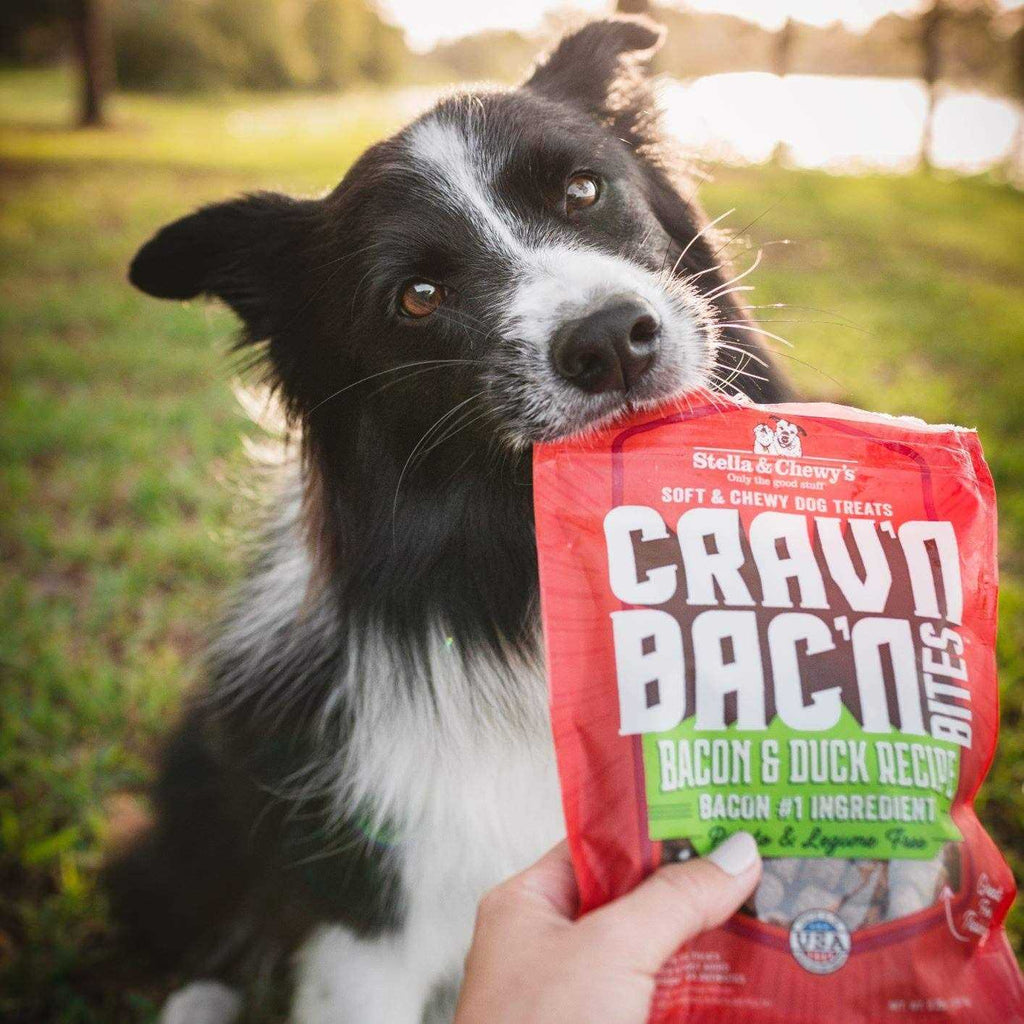 Bacon Dog Treats O68804