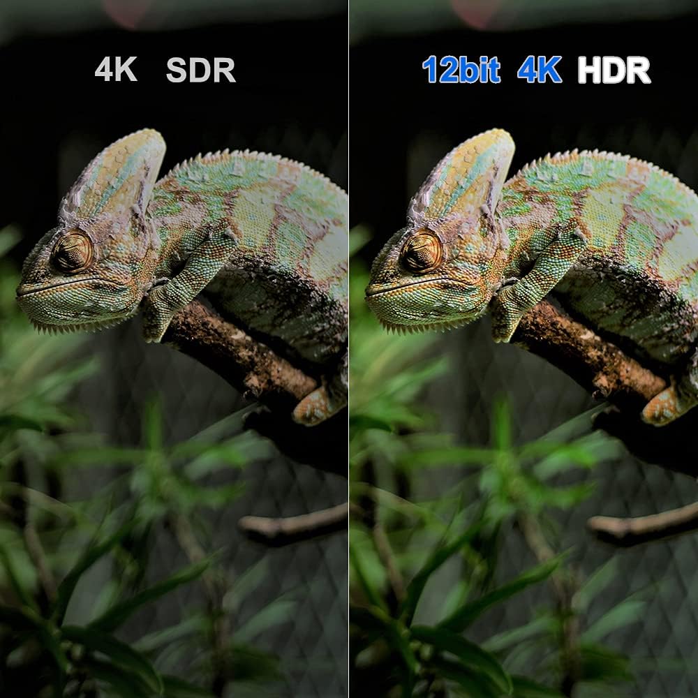 4K Media Player Android TV Box with HDR10+ N574298