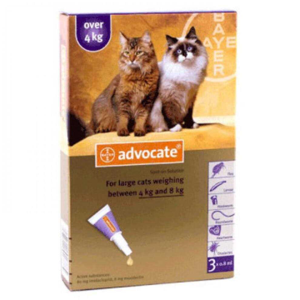 Large Cat Pet Supplies U61617
