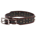Studded Leather Dog Collar F612893