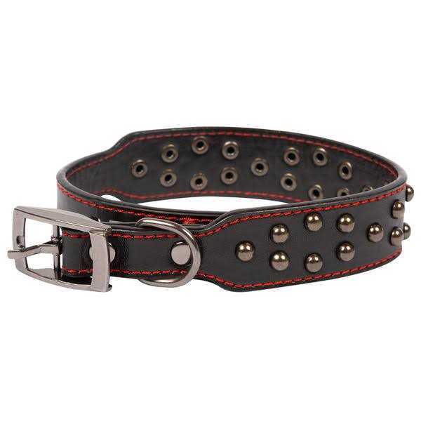 Studded Leather Dog Collar F612893