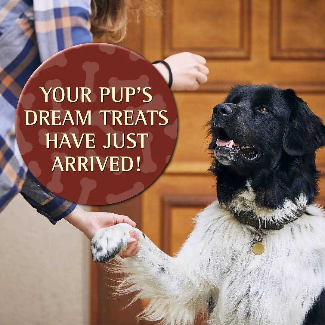 Soft Moist Dog Treats U11339