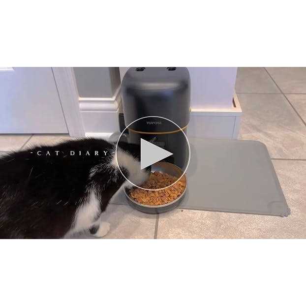 Automatic Cat Feeder 68oz Cat Food Dispenser U21837