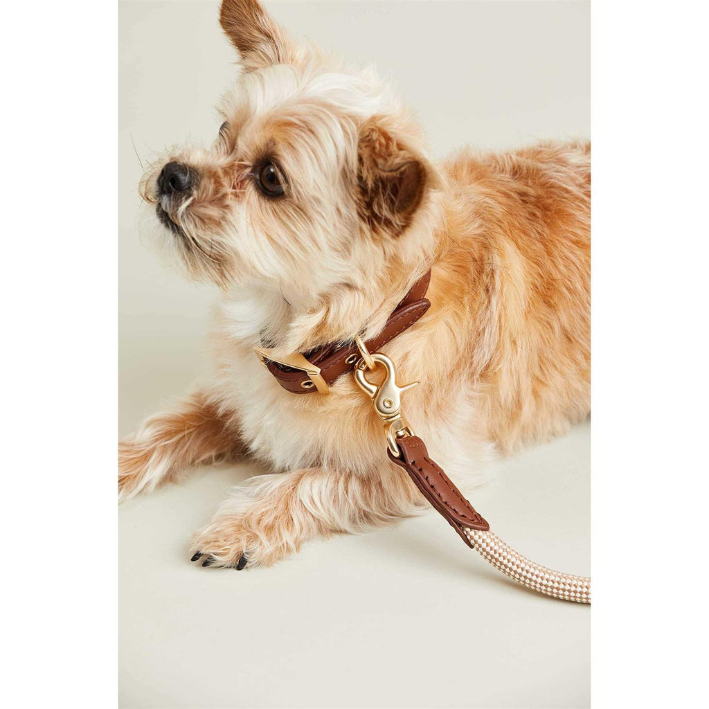 Check Rope Dog Leash D34540