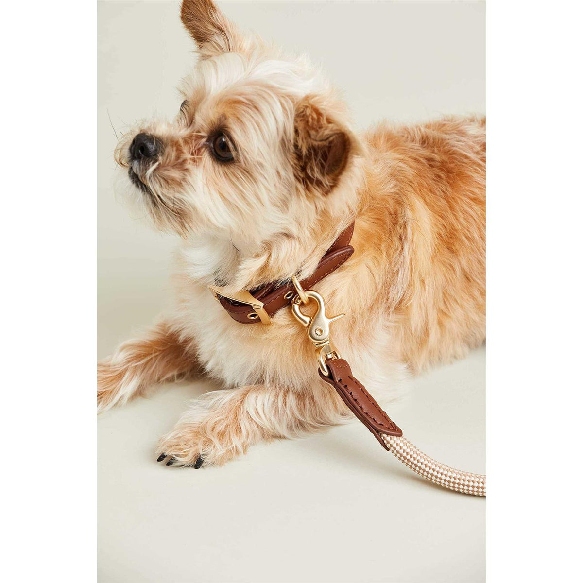 Check Rope Dog Leash D34540