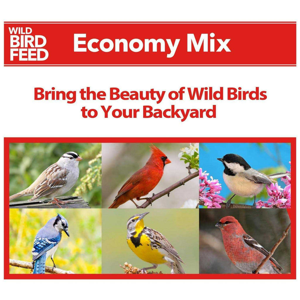 Wild Bird Feed Q77902