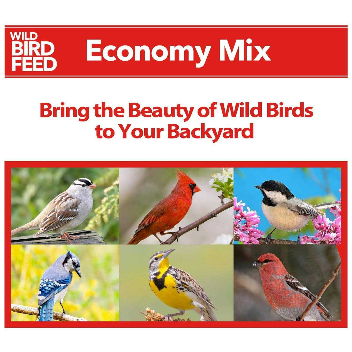 Wild Bird Feed Q77902