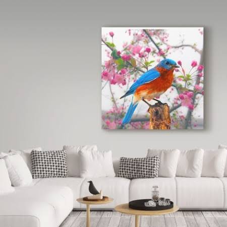 Spring Bird Can H75423