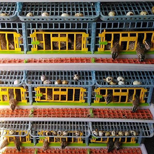 4 Layer ABS Plastic Quail Cage F5859