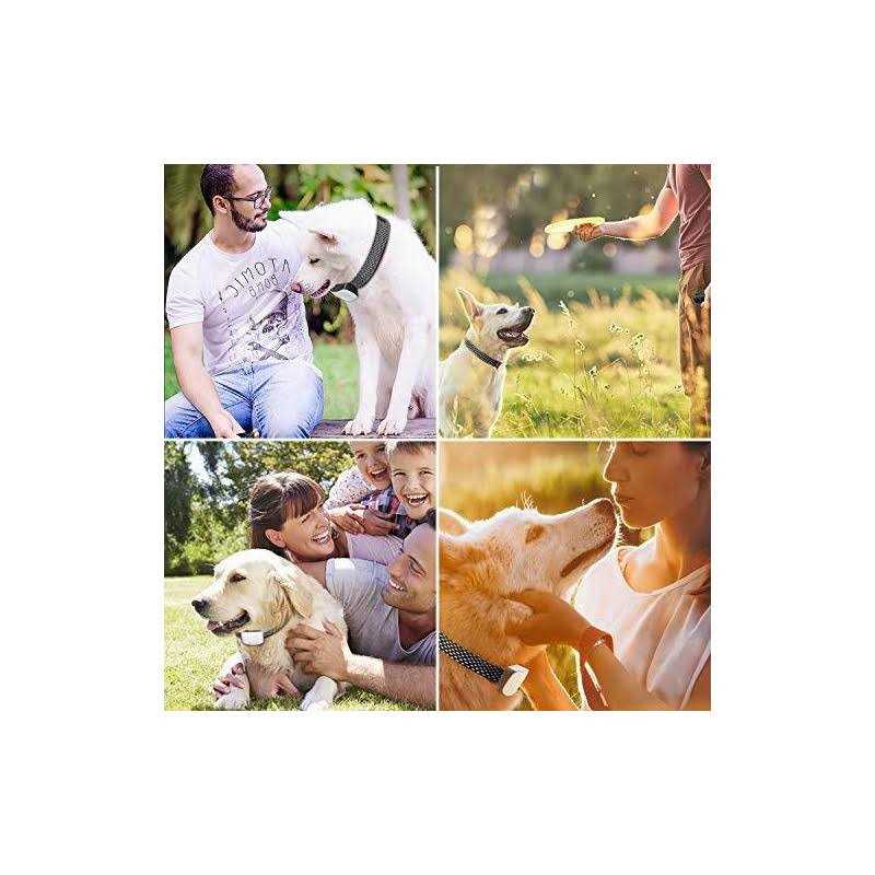 Rechargeable Anti Barking Training Collar W363596