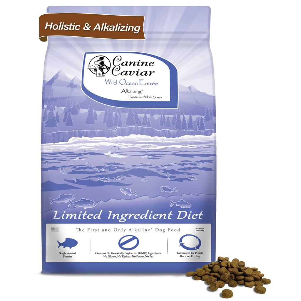 Grain-Free Dry Dog Food U941351