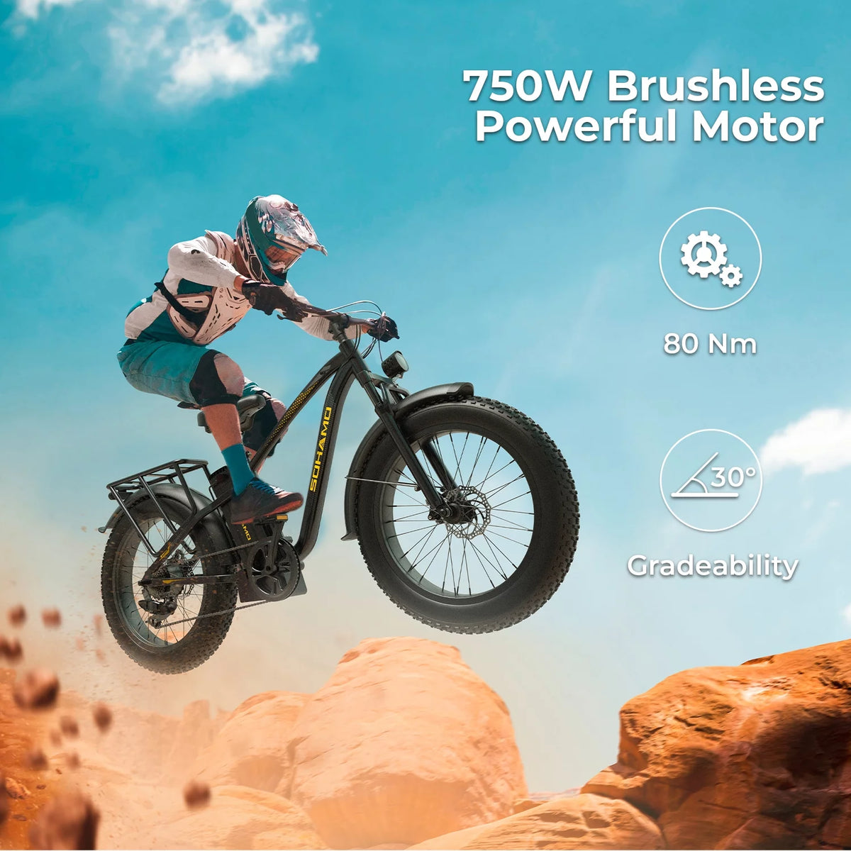 750W 26 Fat Tire Electric Mountain Bike H1062