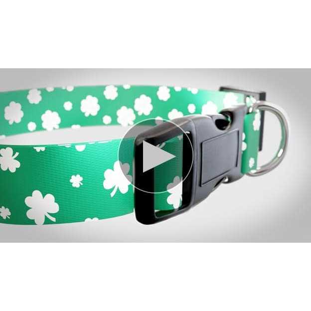 St Patricks Day Dog Collars M775584