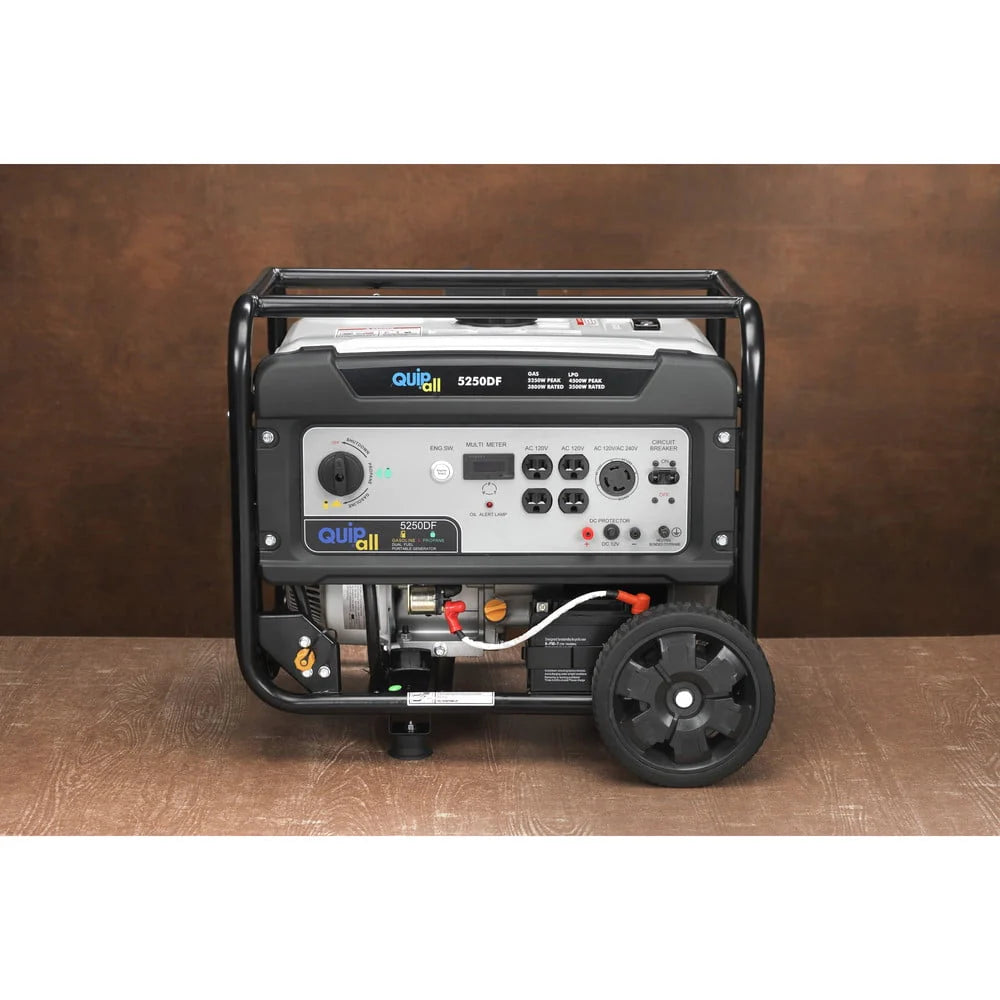 Portable Dual Fuel Gas Generator with Electric Start D590796