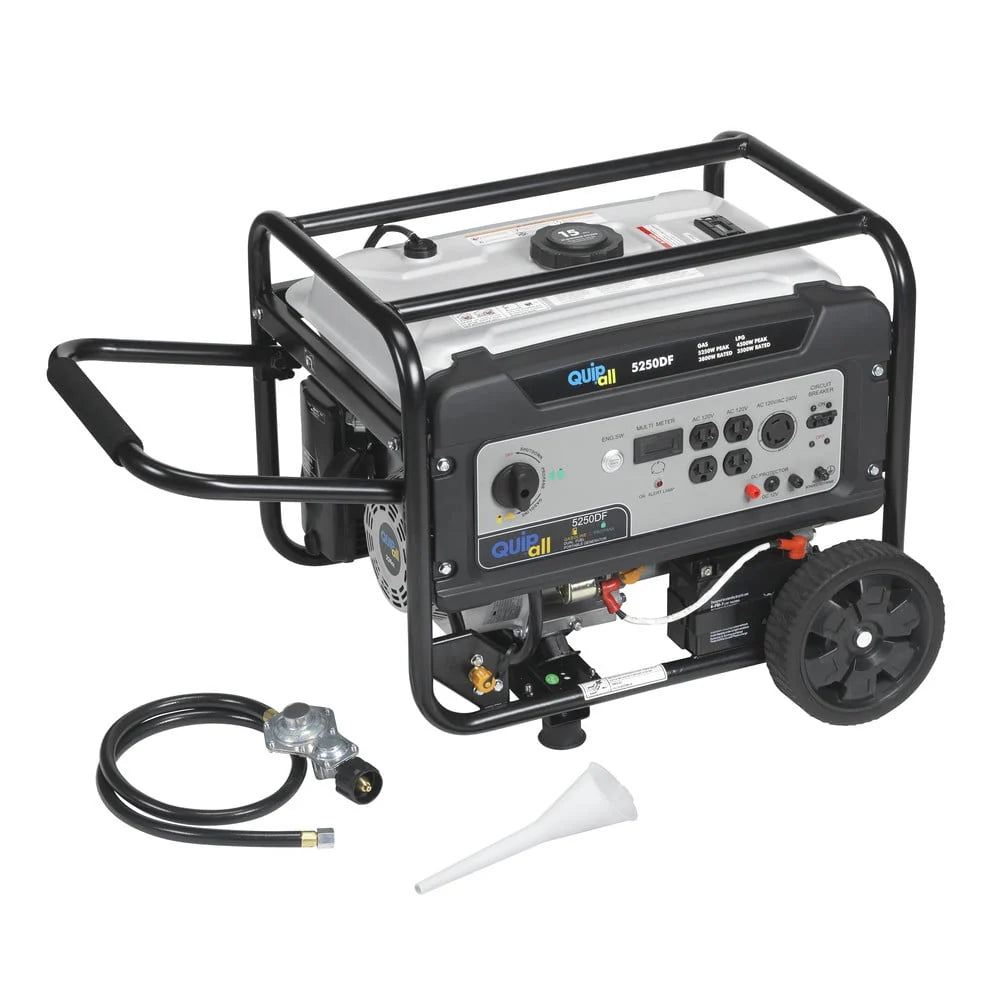 Portable Dual Fuel Gas Generator with Electric Start D590796