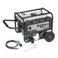 Portable Dual Fuel Gas Generator with Electric Start D590796