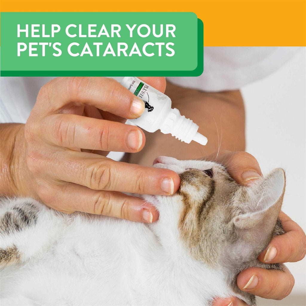 Lanosterol Solution + NAC Pet Supplies T698682