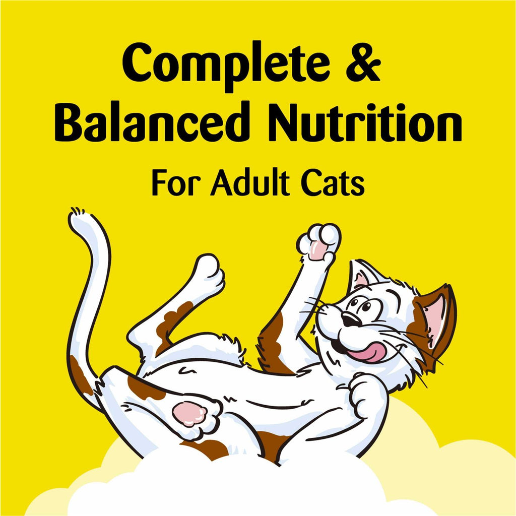 Crunchy and Soft Cat Treats L81202