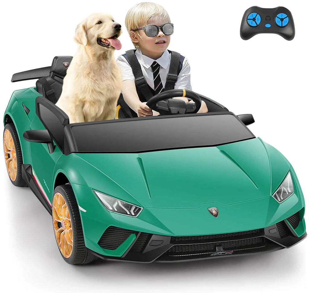 Pink 2 Seater Powered Electric Ride on Car V2446