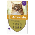 Large Cat Pet Supplies U61617