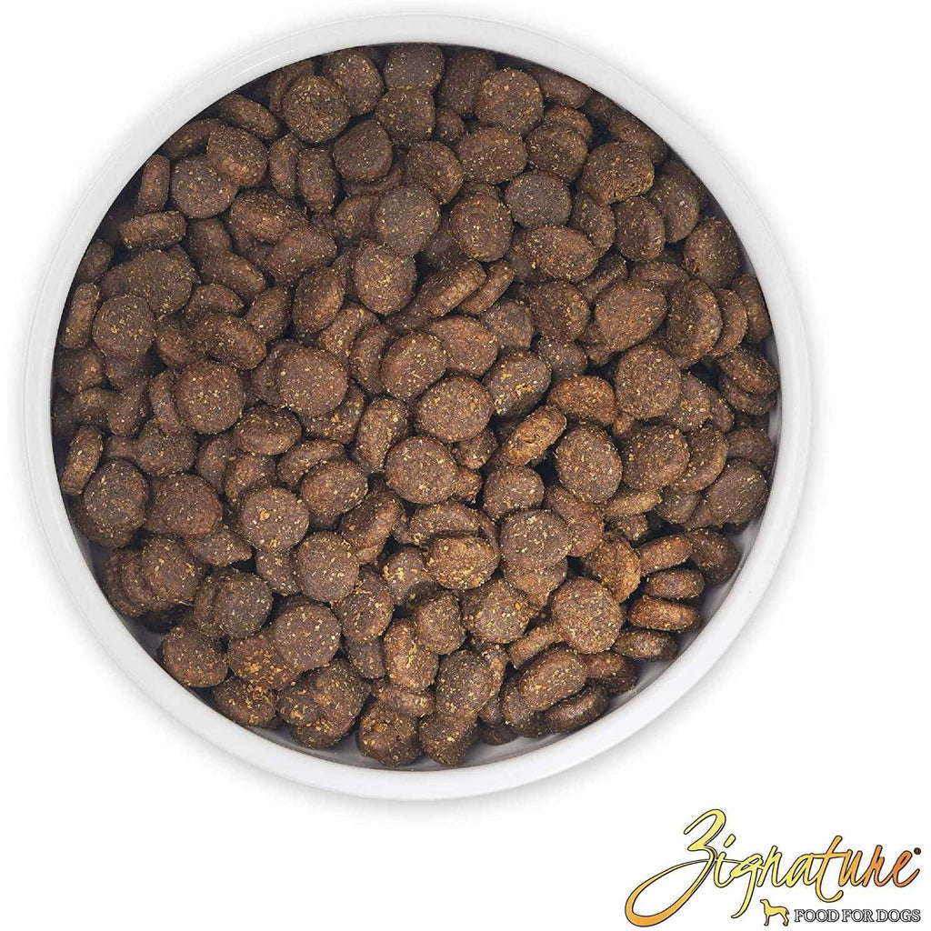 Trout & Salmon Formula Dry Dog Food P4154