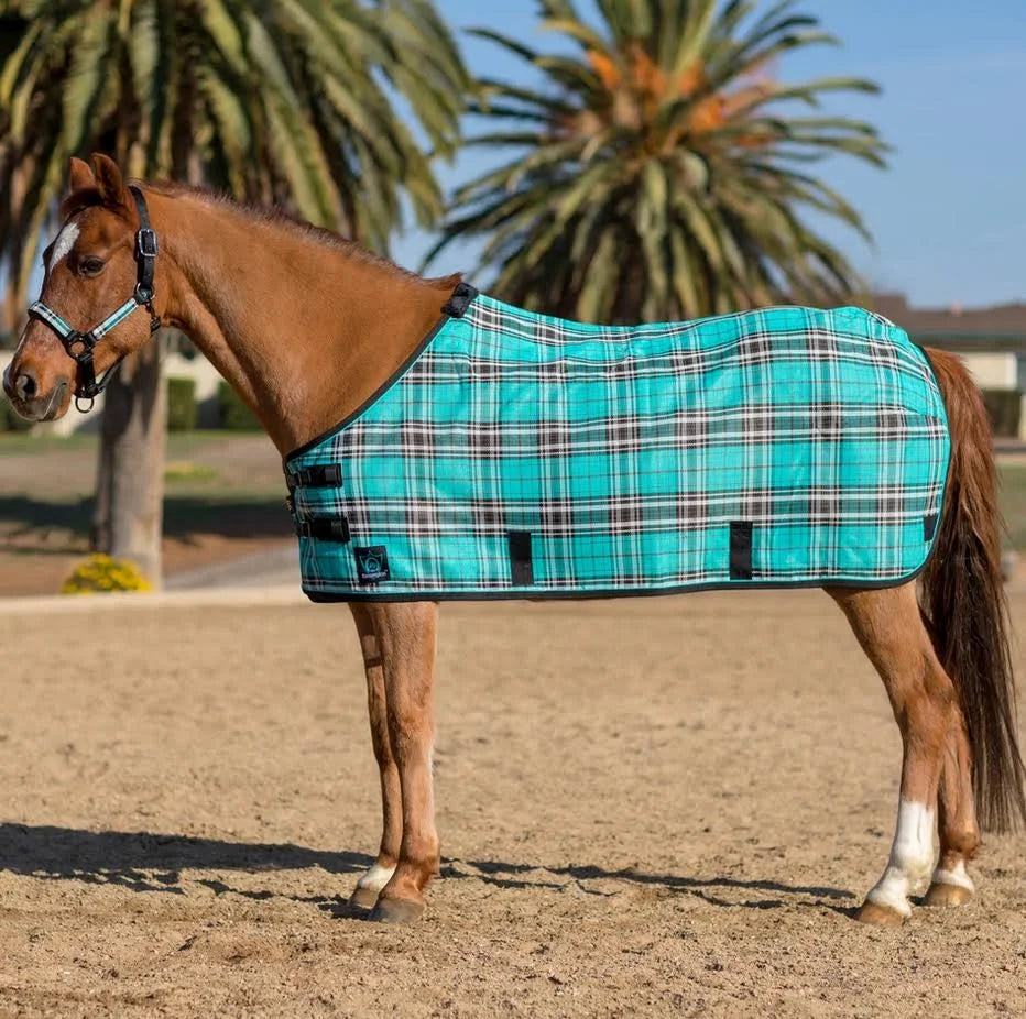 Pony Fly Sheet O667779