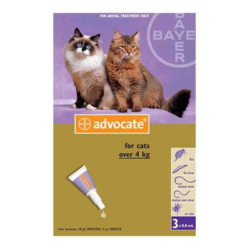 Large Cat Pet Supplies U61617