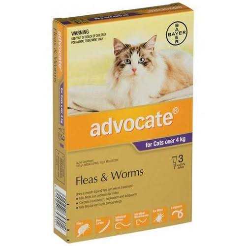 Large Cat Pet Supplies U61617