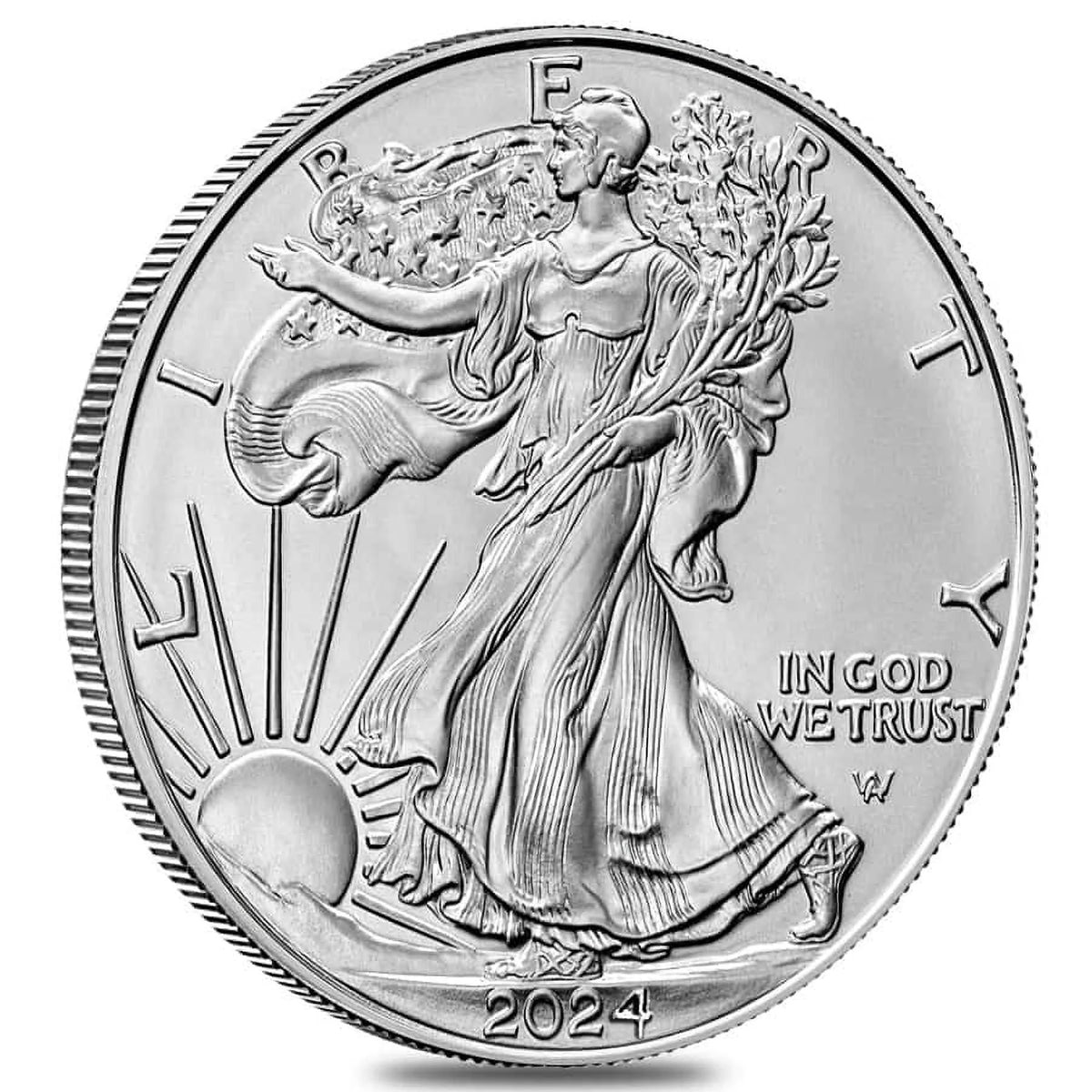 1 oz Silver American Eagle Coin X308