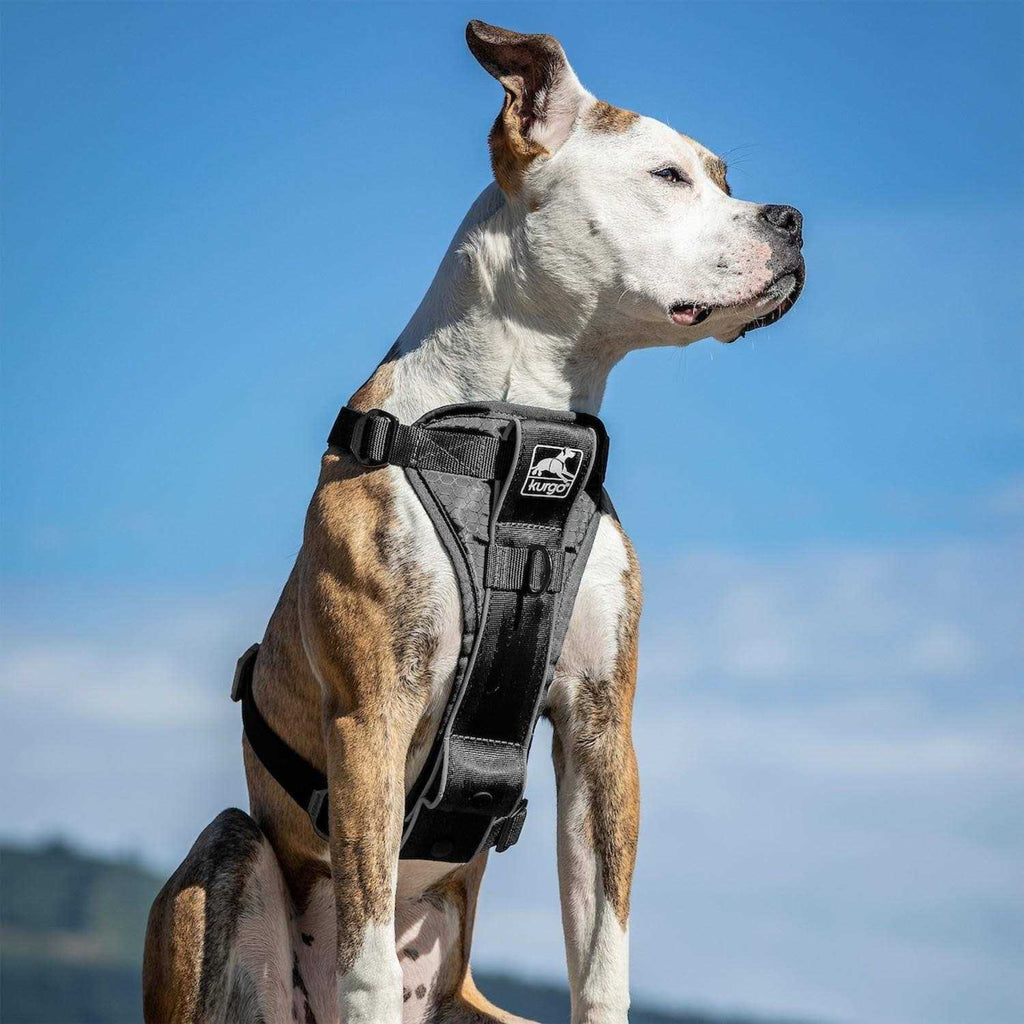 Tru Fit Smart Harness G662554